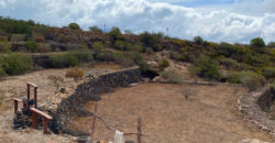 Dom z dużą działką rustykalną o powierzchni 150 000 m²