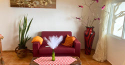 A house with a garden and a restaurant with panoramic views of the ocean and the city.