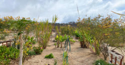 Spectacular rustic estate of 150,000 m² just 5 minutes from Los Cristianos