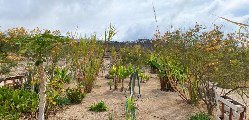 Spectacular rustic estate of 150,000 m² just 5 minutes from Los Cristianos