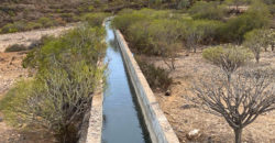 Dom z dużą działką rustykalną o powierzchni 150 000 m²