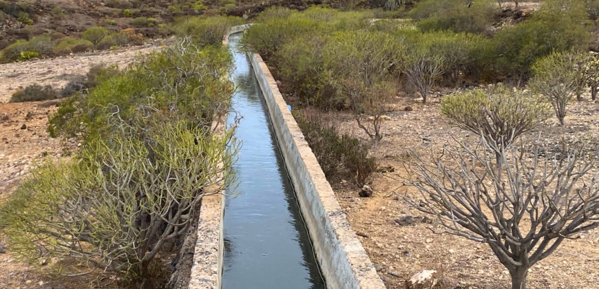 Dom z dużą działką rustykalną o powierzchni 150 000 m²