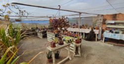 Dom z dużą działką rustykalną o powierzchni 150 000 m²