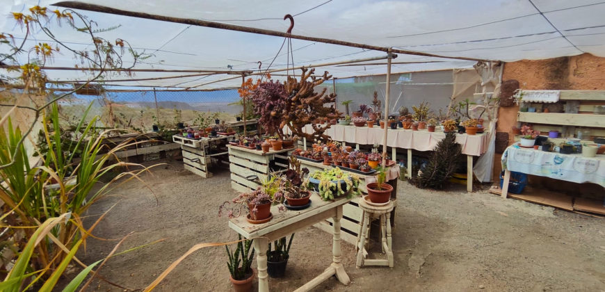 Dom z dużą działką rustykalną o powierzchni 150 000 m²