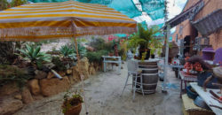 Dom z dużą działką rustykalną o powierzchni 150 000 m²