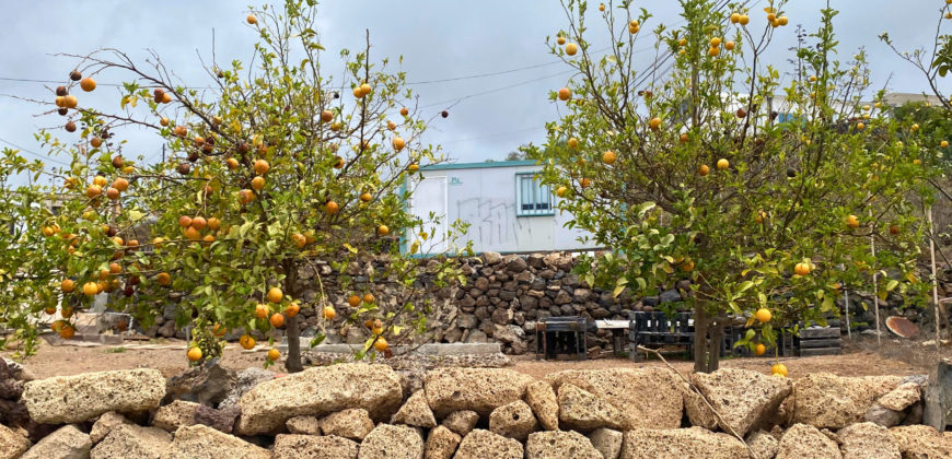 ¡Oportunidad Única! Finca Rústica en Venta en Arona, Tenerife