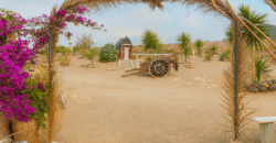 Dom z dużą działką rustykalną o powierzchni 150 000 m²