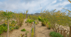 Dom z dużą działką rustykalną o powierzchni 150 000 m²