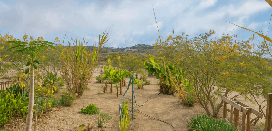 Dom z dużą działką rustykalną o powierzchni 150 000 m²