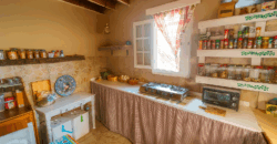 Dom z dużą działką rustykalną o powierzchni 150 000 m²