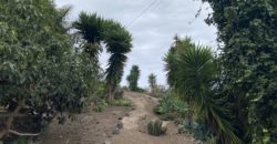 A house with a garden and a restaurant with panoramic views of the ocean and the city.