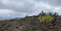 Parcela agrícola con vistas espectaculares en las montañas