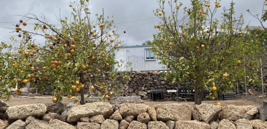 ¡Oportunidad Única! Finca Rústica en Venta en Arona, Tenerife