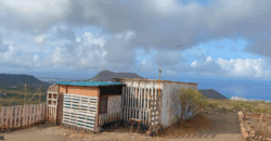 Dom z dużą działką rustykalną o powierzchni 150 000 m²