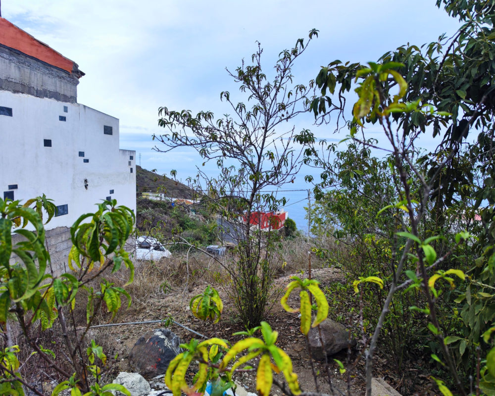 Działka miejska z widokiem na ocean w Icod de los Vinos!