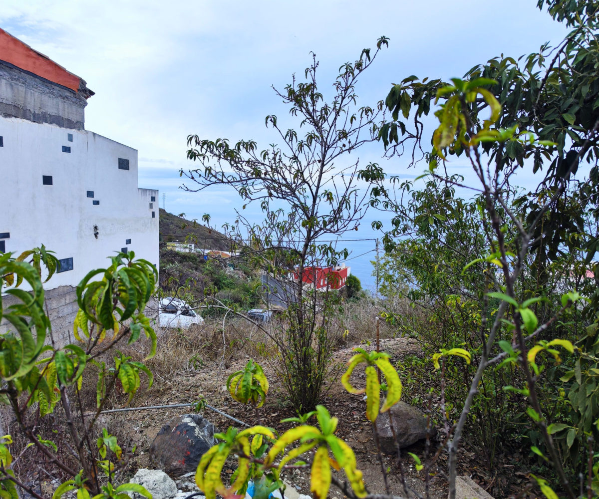 Urban plot with ocean views in Icod de los Vinos!