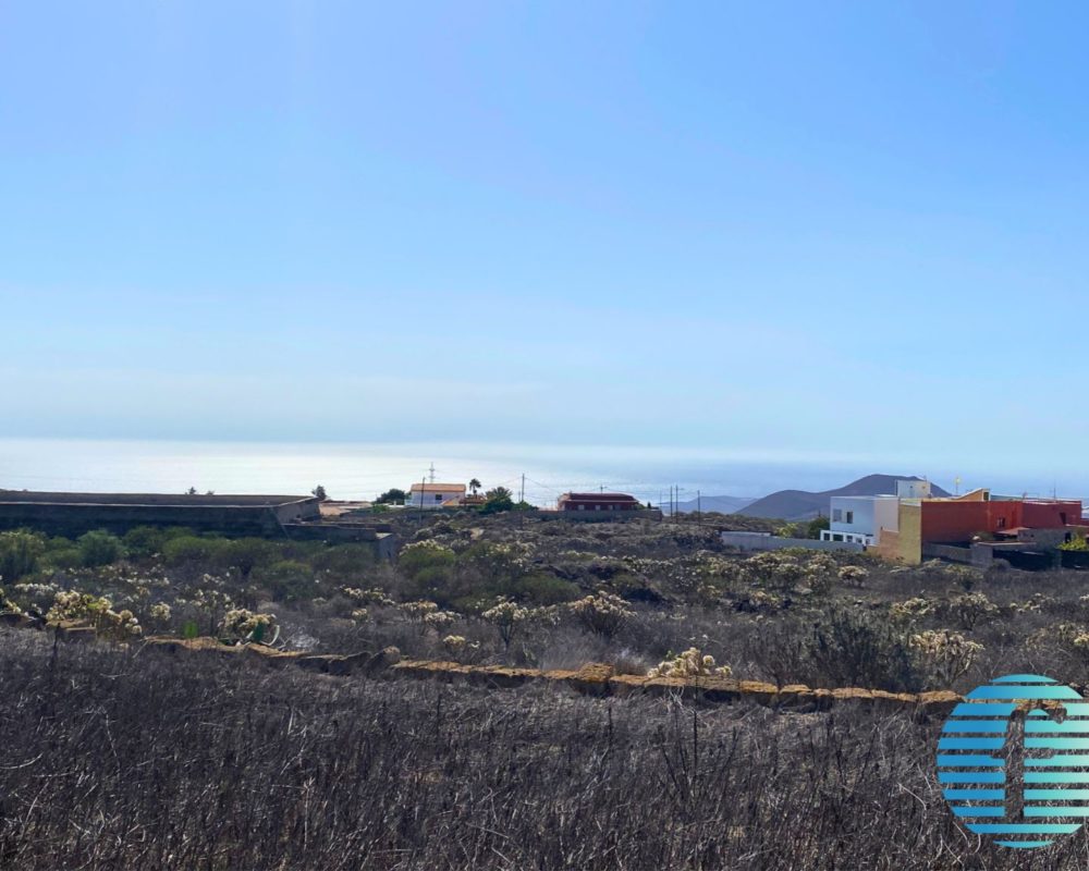 FINCA – Działka inwestycyjna z pełnym potencjałem!