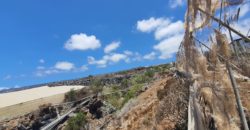 Guia de Isora 2233344910537