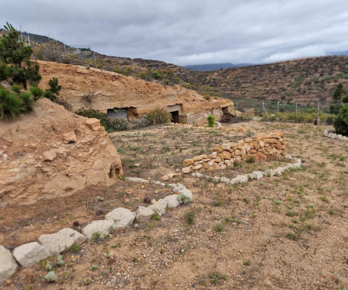 Guimar 2324541110537