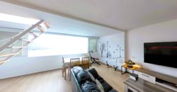 Los Realejos 2304232910537