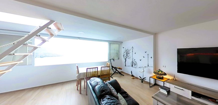 Los Realejos 2304232910537