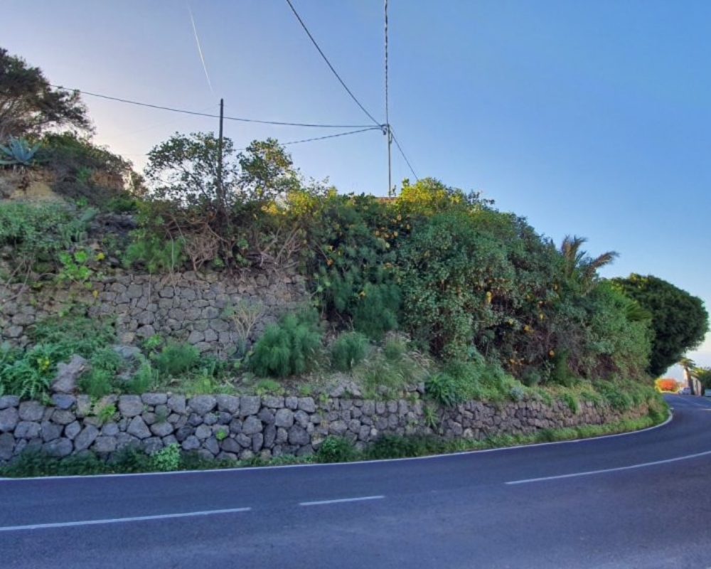 La Guancha 2233355810537