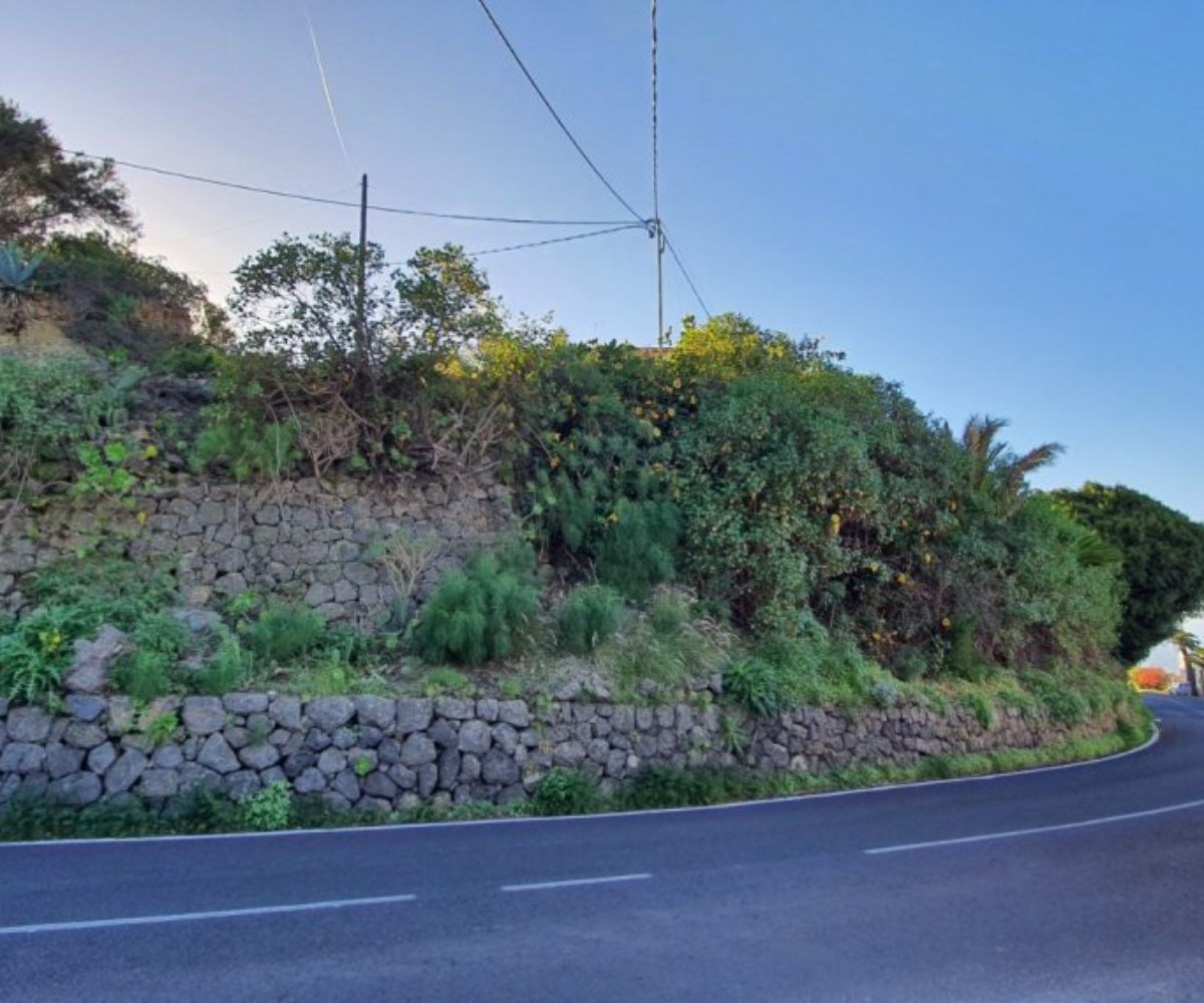 La Guancha 2233355810537