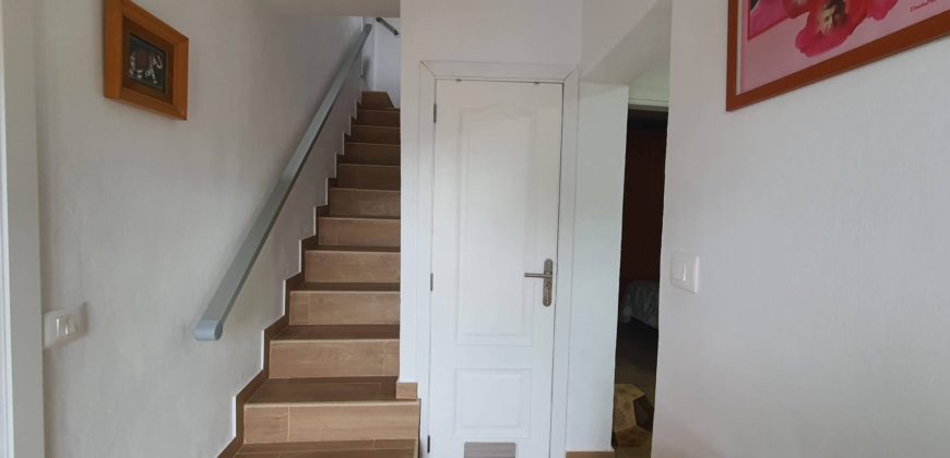 Garachico 2212796610537