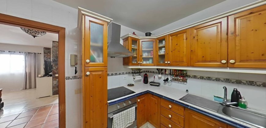 Santa Úrsula 2273272610537