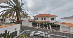 Santa Úrsula 2273272610537