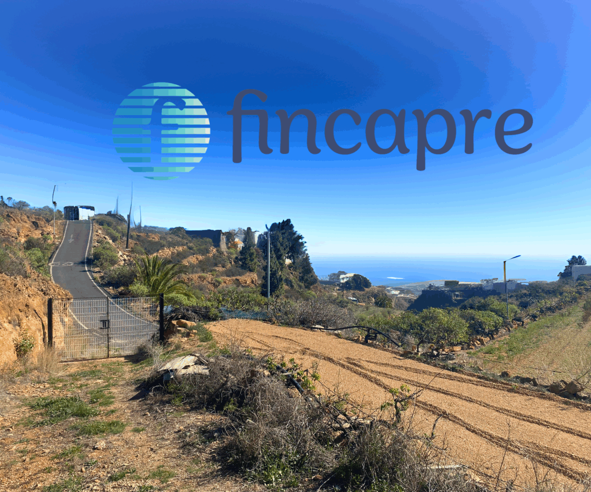 RUSTIC LAND WITH OCEAN VIEW – GRANADILLA DE ABONA