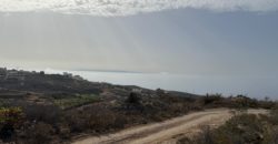 Finca Rústica con Potencial Inversion – San José, Arico, Tenerife