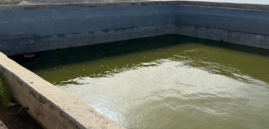 Finca Rústica con Potencial Inversion – San José, Arico, Tenerife