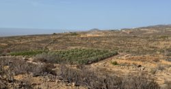 Finca Rústica con Potencial Inversion – San José, Arico, Tenerife