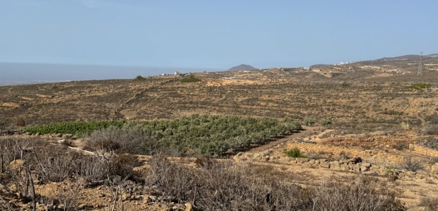 Finca Rústica con Potencial Inversion – San José, Arico, Tenerife