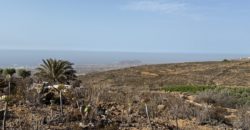 Finca Rústica con Potencial Inversion – San José, Arico, Tenerife