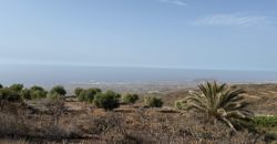 Finca Rústica con Potencial Inversion – San José, Arico, Tenerife