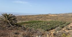 Finca Rústica con Potencial Inversion – San José, Arico, Tenerife