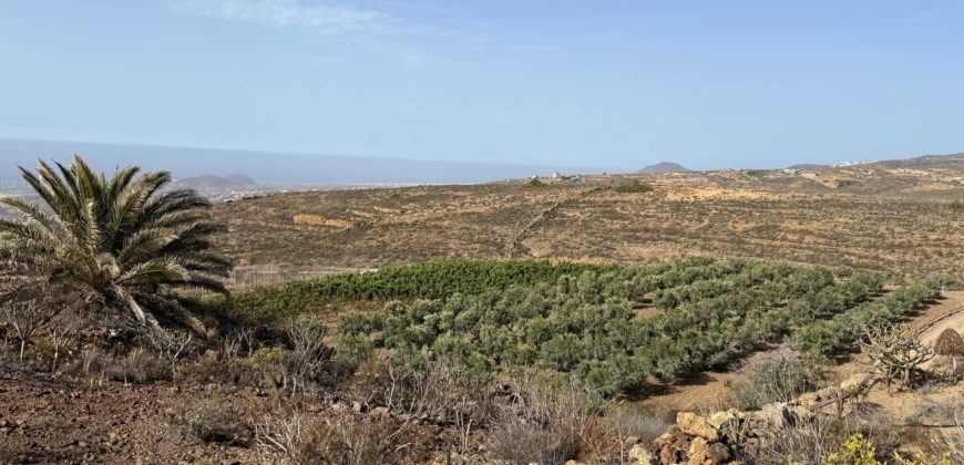 Finca Rústica con Potencial Inversion – San José, Arico, Tenerife