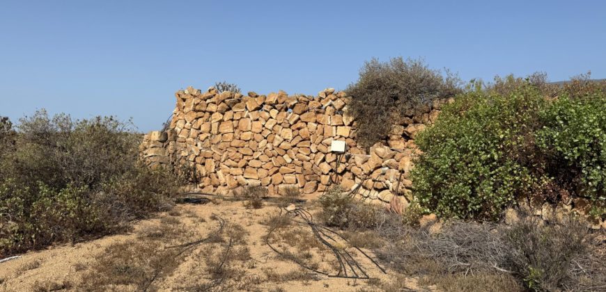 Finca Rústica con Potencial Inversion – San José, Arico, Tenerife