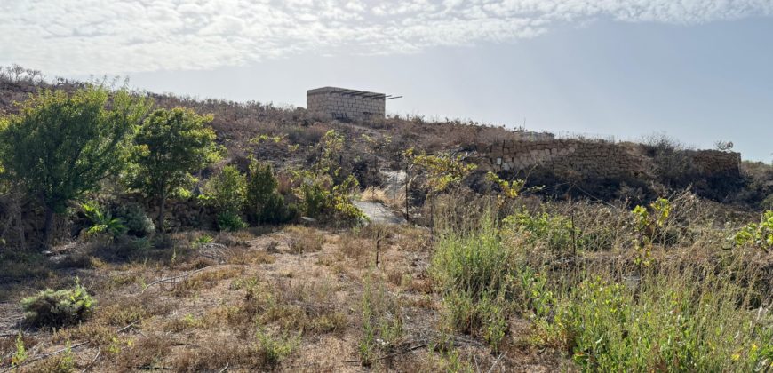 Finca Rústica con Potencial Inversion – San José, Arico, Tenerife