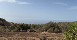 Finca Rústica con Potencial Inversion – San José, Arico, Tenerife