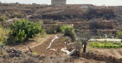 Finca Rústica con Potencial Inversion – San José, Arico, Tenerife