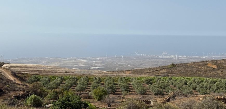 Finca Rústica con Potencial Inversion – San José, Arico, Tenerife