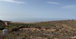 Finca Rústica con Potencial Inversion – San José, Arico, Tenerife