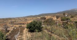 Finca Rústica con Potencial Inversion – San José, Arico, Tenerife