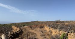 Finca Rústica con Potencial Inversion – San José, Arico, Tenerife