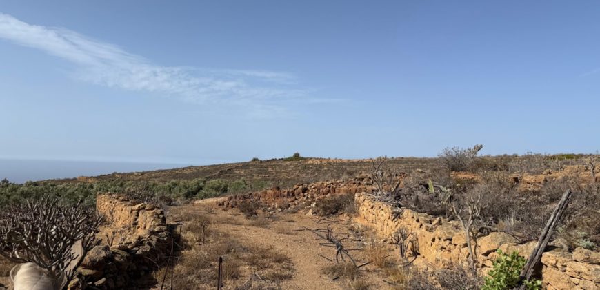 Finca Rústica con Potencial Inversion – San José, Arico, Tenerife