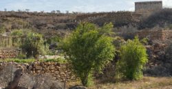 Finca Rústica con Potencial Inversion – San José, Arico, Tenerife