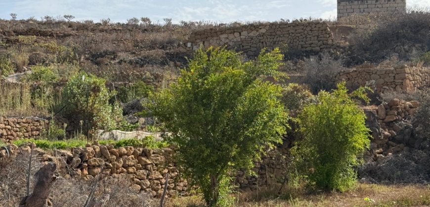 Finca Rústica con Potencial Inversion – San José, Arico, Tenerife